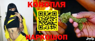 стафф Пенза