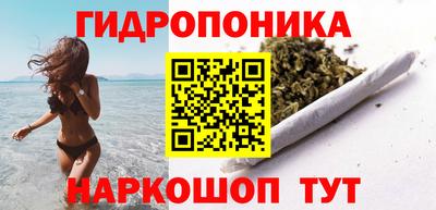 стафф Пенза