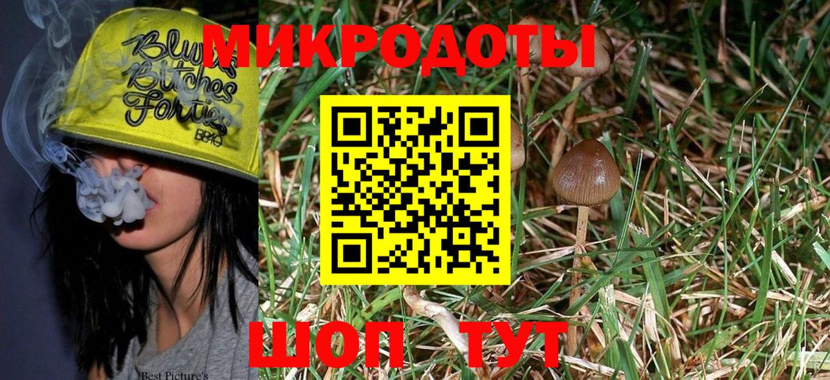 Галлюциногенные грибы Magic Shrooms Сердобск