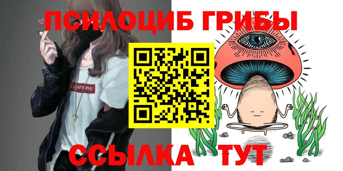 Галлюциногенные грибы Magic Shrooms  Вход с VPN  где найти наркотики  Сердобск  Псилоцибиновые грибы Psilocybe 
